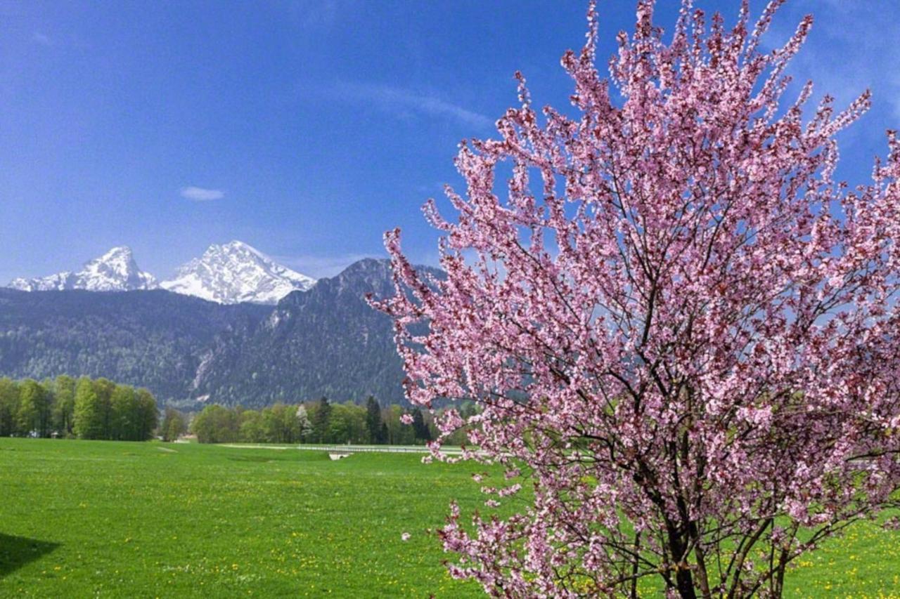 Triembachhof Βίλα Schönau am Königssee Εξωτερικό φωτογραφία